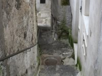 IMG 0121