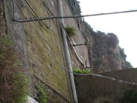 IMG 0234