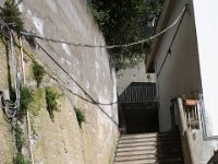 IMG 0247