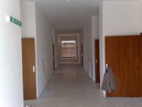 06102008061